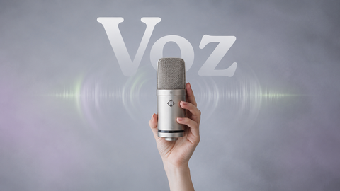 voz